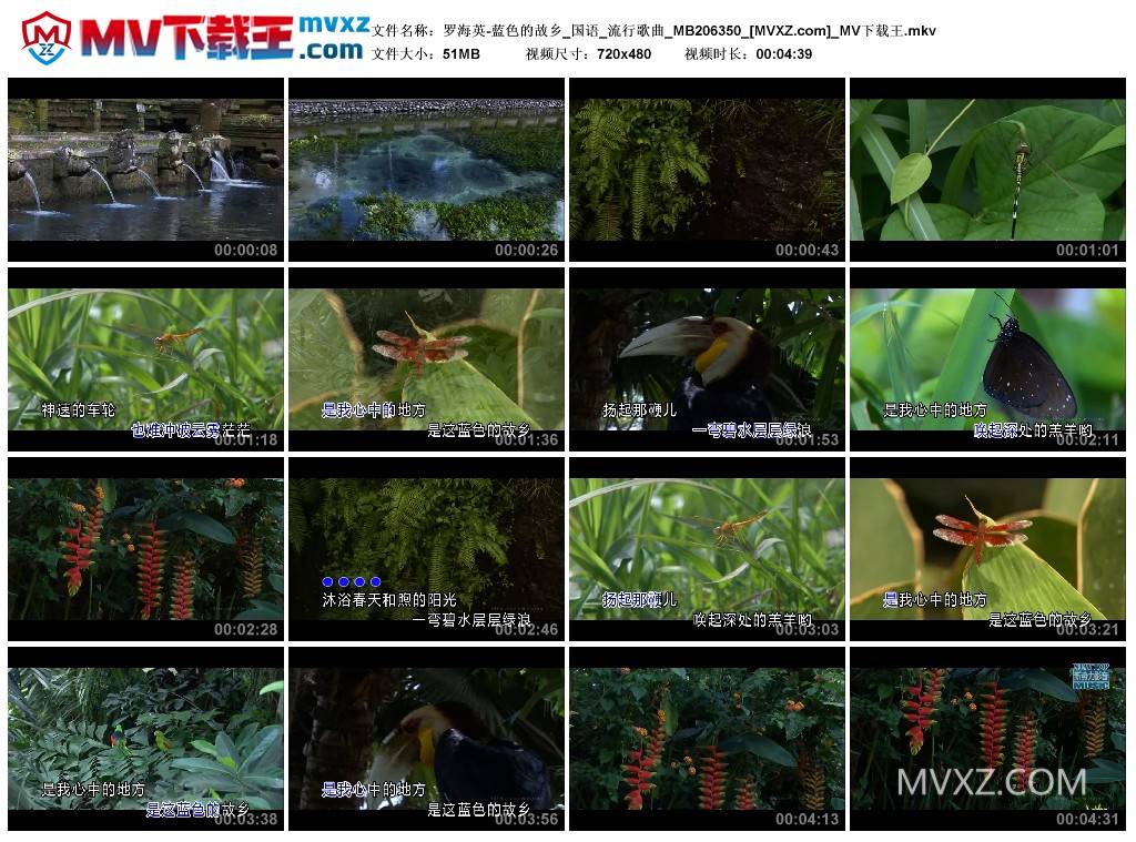 罗海英-蓝色的故乡_国语_流行歌曲_MB206350
